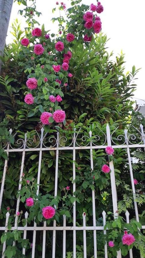Doux Cocon De 50 M2 Paris-Le Raincy Apartment Luaran gambar